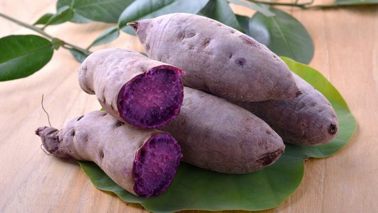 7 Thực phẩm chống lão hoá da hiệu quả được chuyên gia khuyên dùng 7 Thực phẩm chống lão hoá da hiệu quả được chuyên gia khuyên dùng