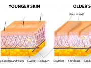 Hydrolyzed Collagen – nguồn dinh dưỡng tuyệt vời tái tạo, trẻ hóa làn da nhăn nheo thâm sạm